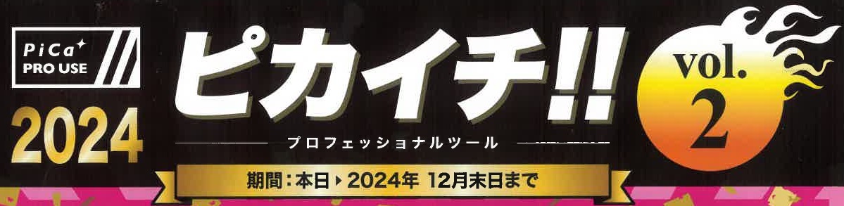 昇降設備キャンペーン(ﾋﾟｶｺｰﾎﾟﾚｲｼｮﾝ)2024.12月末迄のサムネイル画像