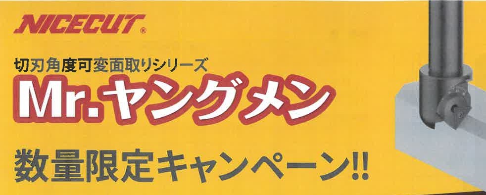 数量限定キャンペーン　NICECUTのサムネイル画像